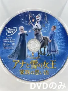 Disney アナと雪の女王 家族の思い出 DVDのみ