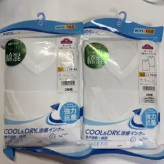 Item thumbnail for item aa898051-313c-40fe-8236-705eb24c2ee6