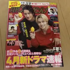 月刊ザテレビジョン 4月号(岩本照&松田元太など)