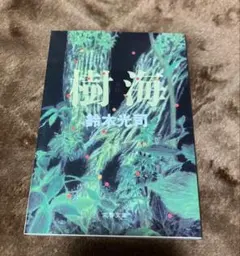 Item thumbnail for item 47b0c20a-564b-4bd9-a791-358e8cf8487d