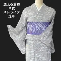 美品✨】洗える着物 夏物 絽 小紋 白×青 芝草 手縫い 居敷当て付 A9