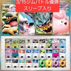 【大特価】タケルライコexデッキ　構築済みデッキ