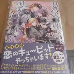 悪役令嬢は溺愛ルートに入りました！？ 7