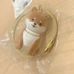 わんこのタイムカプセル まめ 柴犬 カプセルトイ