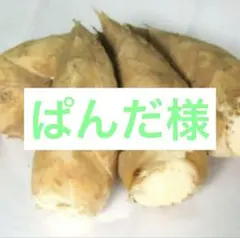 ぱんだ様　京都山城産　朝掘り筍3kg