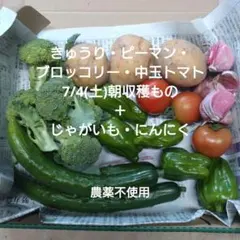 きゅうり・ピーマン・ブロッコリー・中玉トマト　＋　じゃがいも・にんにく　セットのサムネイル