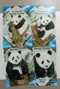 上野動物園 パンダ来園50周年 記念 クリアファイル シャオシャオ