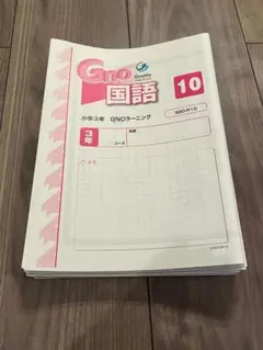 中学受験グノーブル 国語 小学3年 GNOラーニング 第10回〜第18回