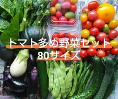 トマト多め野菜セット 80サイズのサムネイル