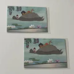 ディズニー 100周年 トレーディングコレクション カード ジャングルブック