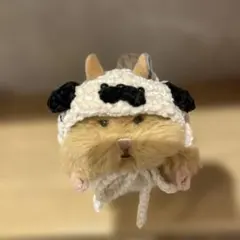 はむにぎり用 パグのボンネット ぬい服 ぬい活