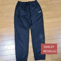 Item thumbnail for item 0b7284f6-3ed2-4b0b-a5ba-e62a350d159c