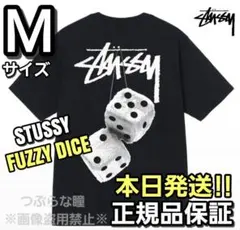 ステューシー STUSSY FUZZY DICE TEE ブラック Mサイズのサムネイル