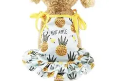 Item thumbnail for item ba70dca6-584c-420e-9623-26cae5ee2e14