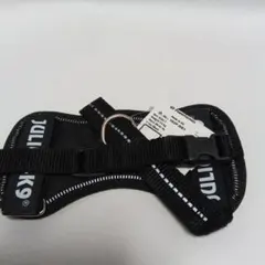 Item thumbnail for item 44281d2b-cb60-4d03-9b83-dc3d4e500a38