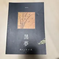 狂い月 設定資料集 フリーゲーム 本 狂い月 設定資料集 - メルカリ