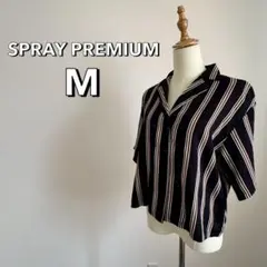 タグ付き　SPRAY PREMIUM ストライプ　Tシャツ　半袖　ネイビー　M