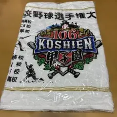 2025年最新】甲子園出場 タオルの人気アイテム - メルカリ