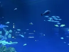 送料分