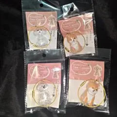 わんこのタイムカプセル　モカ　むぎ　まめ