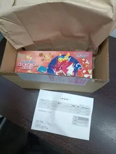 ポケモンカード　ポケモンセンター ヒロシマ スペシャルBOX シュリンク付き