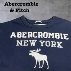 Abercrombie&Fitch フェルトロゴT ネイビー M Y2K 00s