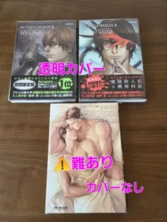 In These Words　2から3巻　外伝⚠️難あり　3冊セット