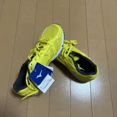 MIZUNO×KOBUCHI 小渕健太郎(コブクロ)ランニングシューズ - メルカリ