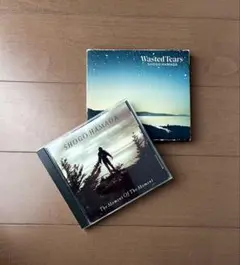 浜田省吾 2枚セット Wasted Tears もうひとつの土曜日 星の指輪