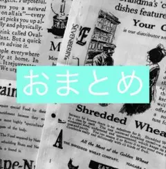 SEVEN BERRY 英字新聞 生地