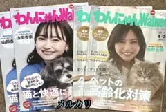 わんにゃんウォーカー 山田杏奈 西野七瀬 乃木坂46 映画 全国版☆ 計4部