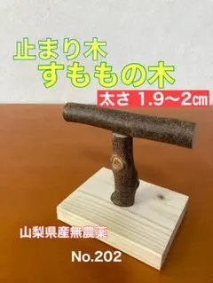 Item thumbnail for item 81714e2e-dbd6-43a4-9468-22b6cb58ef78