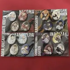 ハイキュー たまご型缶バッジ フルセット 各1セット