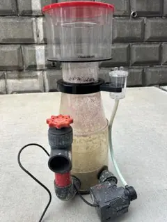 2025年最新】プロテインスキマーの人気アイテム - メルカリ