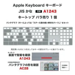 キートップ バラ売り Apple キーボード A1243 JIS かな