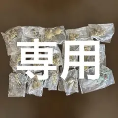 【専用】ドラゴンボール ミニフィギュア 16種フルコンプリート