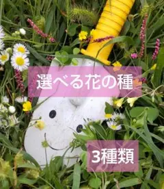 むっく様 リクエスト 2点 まとめ商品