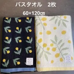 Item thumbnail for item 406c42d1-7dc8-4faa-84d1-7c8f0be59bf5