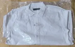 Item thumbnail for item bc5b30d2-daa4-40ea-bd35-40af14f73d01