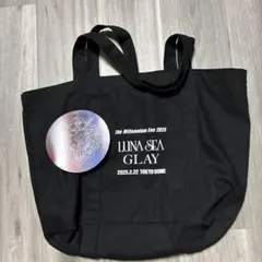2026年最新】国内アーティスト：LUNA SEA ミュージシャン バッグ