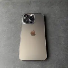 iPhone13Pro 256GB
