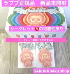 【正規品・未開封】ラブブ　Labubu Big into Energy 2ピース