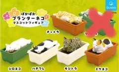 ぽかぽかプランターネコマスコット 5種類まとめ売りのサムネイル