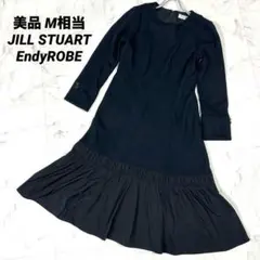【美品】JILL STUART EndyROBE オードリーワンピース M相当
