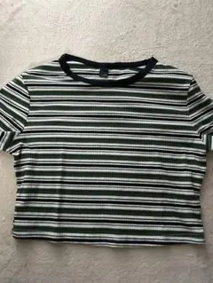 ストライプ リブ編み クロップドTシャツ　shein
