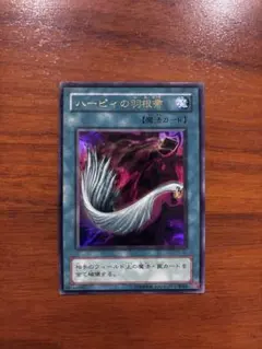 【PSA10】ハーピィーの羽根箒　ウルトラ　パラレル　初期 Amazon.co.jp: 遊戯王OCG ハーピィの羽根帚 初期 ウルトラレア : ホビー