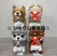 ☆ ショウジ様専用☆　　豆しば三兄弟みんなでおねだり　ST　豆太郎　タイガ　2点