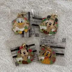 ディズニージャングルカーニバル　キーホルダー　新品4点セット