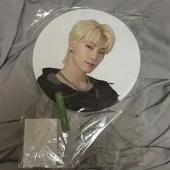 SEVENTEEN ディノ FOLLOW うちわ