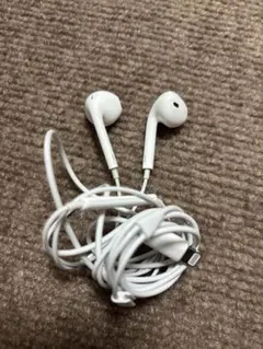 Apple EarPods with Lightning Connector